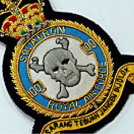 Air-Force Badges  