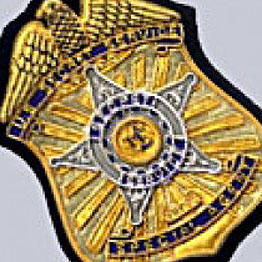 Secret Service Badges  
