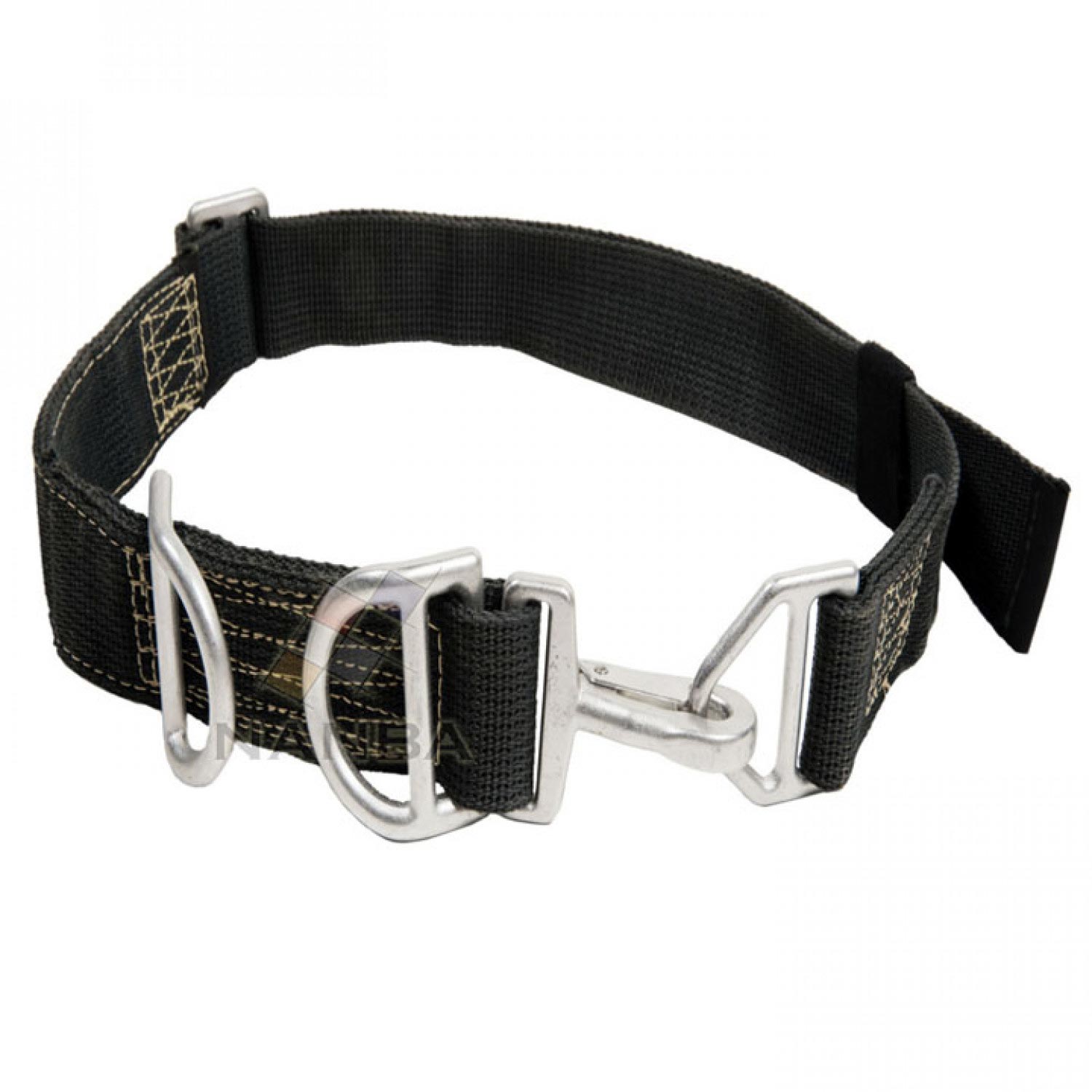 Belt Belt